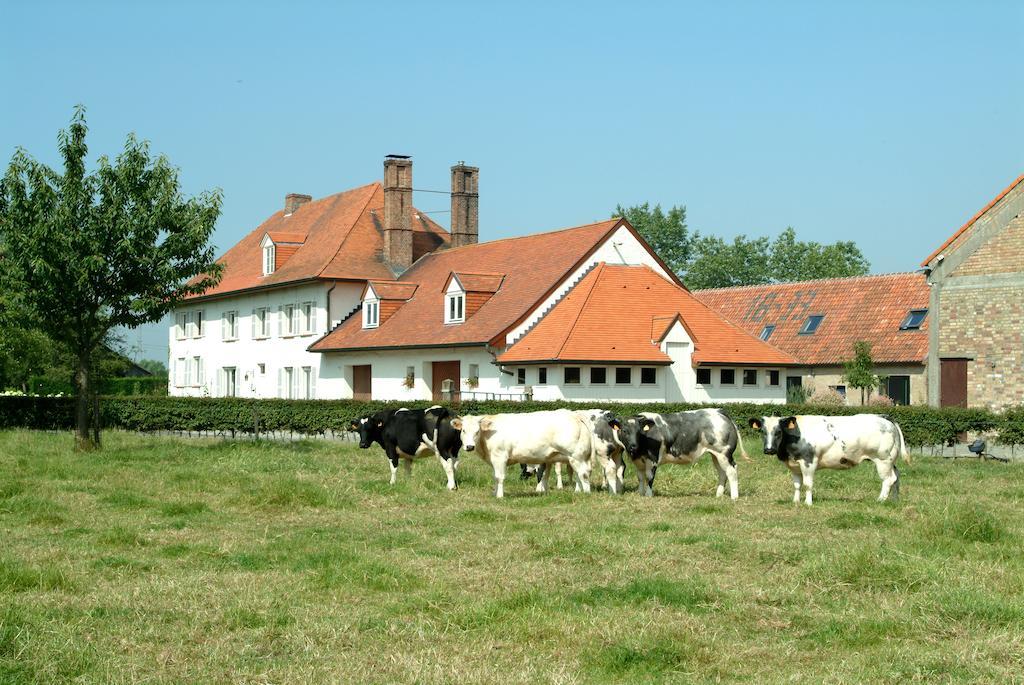 Holiday Home De Colve Brujas Exterior foto