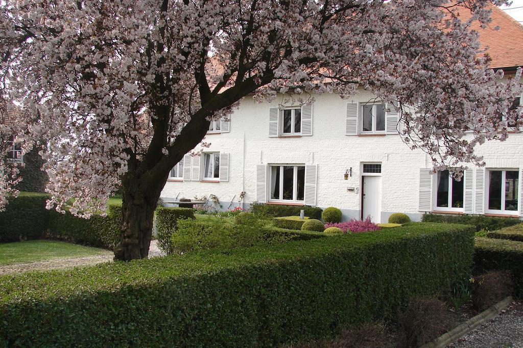Holiday Home De Colve Brujas Exterior foto